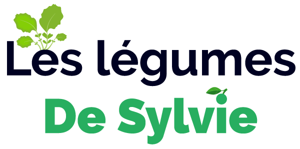 Légumes de sylvie