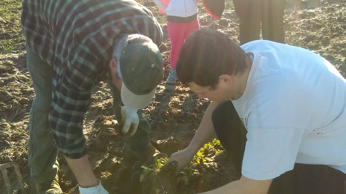 Qui sommes-nous ? Mulhouse