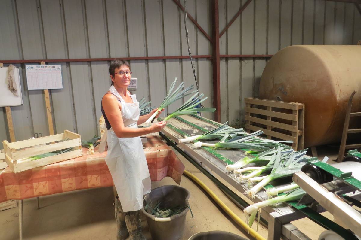 Les l&eacute;gumes de Sylvie &agrave; Munwiller : des l&eacute;gumes de saison en circuit court dans le Haut-Rhin (68) Belfort