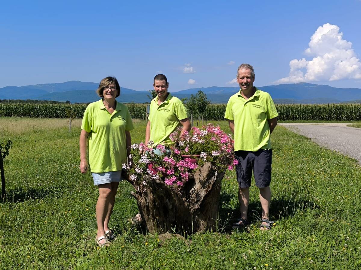 IMG 20240813 WA0001 | Légumes de sylvie Marché Paysan Chez Les légumes de Sylvie à la ferme Rixheim