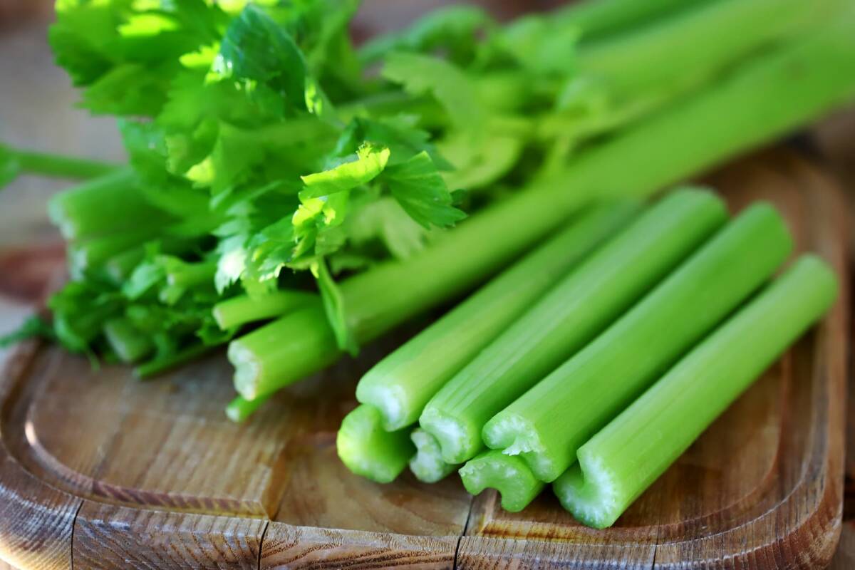CÉLERI | Légumes de sylvie À propos des Légumes de Sylvie Colmar
