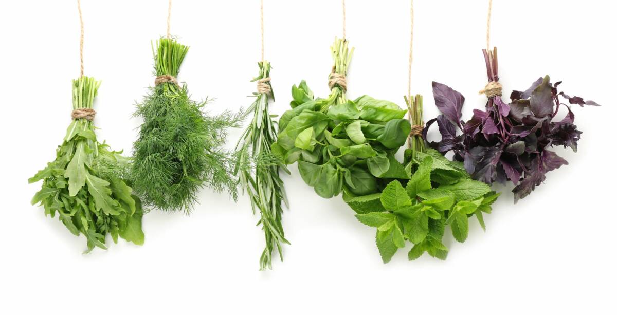 Comment faire s&eacute;cher ou conserver vos aromatiques d&rsquo;&eacute;t&eacute; pour en profiter toute l&rsquo;ann&eacute;e ? Guebwiller