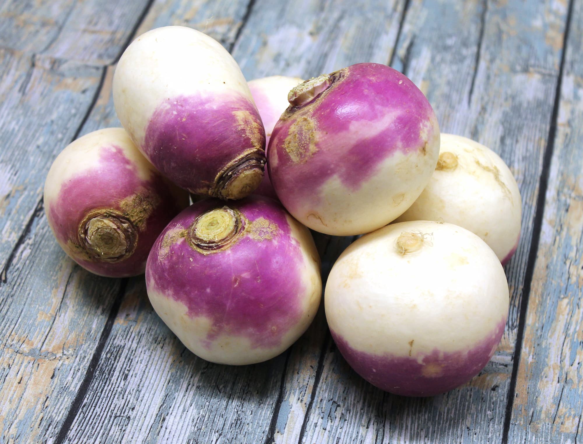 ADOBESTOCK_98012601 | Légumes de sylvie Comment adoucir le goût du navet pour plaire à toute la famille ? Sélestat 0